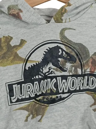 Jurassic World Kinder Kapuzenpullover Gr. 104 Grau Dinosaurier Hoodie