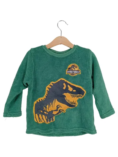 Jurassic World Kinder Pullover Grün T-Rex Motiv Gr. 98-104 Casual
