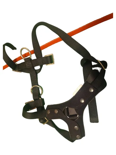 BODYGUARD® Hundegeschirr Gr. M Schwarz Nylon verstellbar Hund