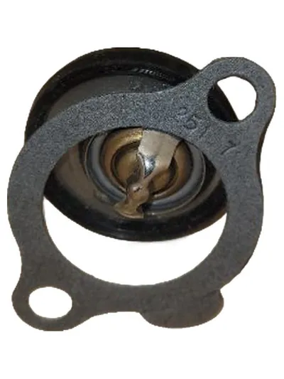 FERDINAND BILSTEIN Thermostat ADA109210C KFZ Teil Schwarz