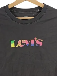 Levi's Damen T-Shirt Logo Regenbogen Print Grau Gr. XS 34 2