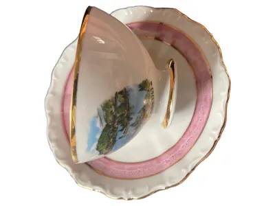 Tirschenreuth Tasse Untertasse Porzellan Weiß Landschaft Klassisch Metallic