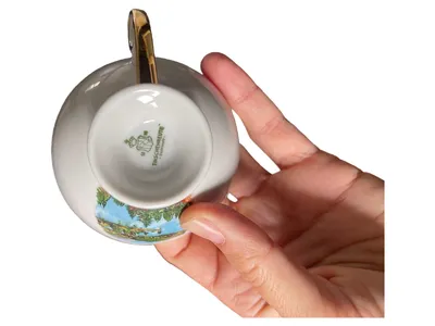Tirschenreuth Tasse Untertasse Porzellan Weiß Landschaft Klassisch Metallic