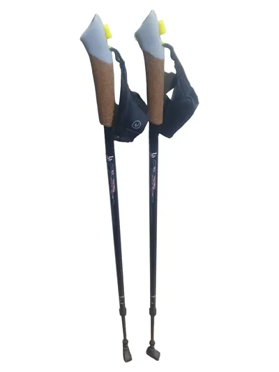 CENTOR Walking Stöcke Nordic Trekking Stöcke Herren Schwarz