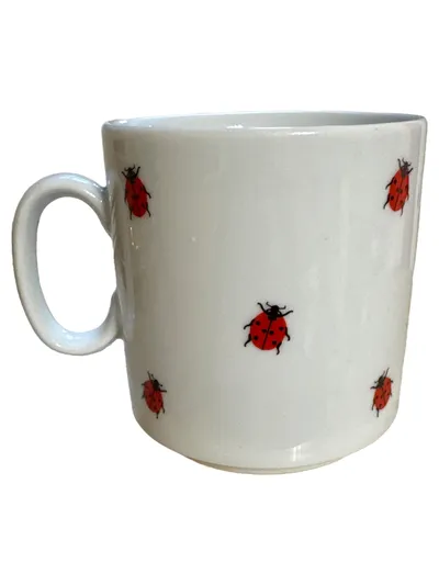 Käfer Tasse Unterteller Marienkäfer Porzellan Weiß 9cm Charmant Alltag