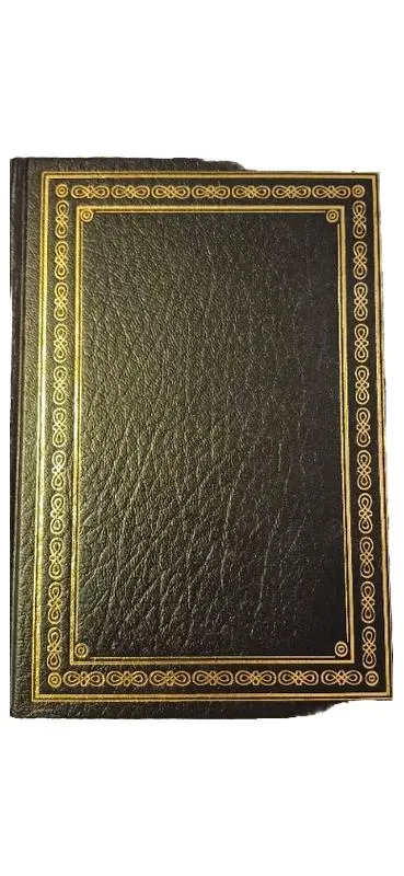 Antiquarisches Buch Ledereinband Gold Verzierung Sammlerstück Vintage