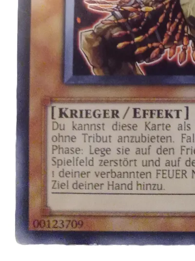 Konami Yu-Gi-Oh! Sammelkarte Krieger Laval-Lanzenherr Deutsch Braun