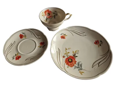 Walbrzych Vintage Tasse Untertasse Kuchenteller Blumen Beige Porzellan 3tlg
