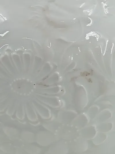KAISER Vase Porzellan Weiß Klassisch Blumen Relief Blumenvase Deko