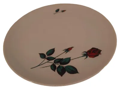 Bavaria Porzellan Platzteller Klassisch Rose Blumenmuster Weiß 19 cm
