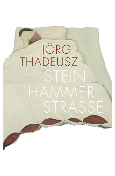 Steinhammerstraße Roman Jörg Thadeusz KiWi Gesellschaftsroman