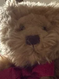Russ Teddybär Gregory Carol-Lynn Rössel Waugh Plüschtier mit Schleife