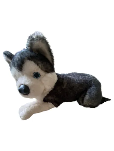 Schildkröt Kuscheltier Hund Plüschtier Charmant Mehrfarbig 45cm 24cm