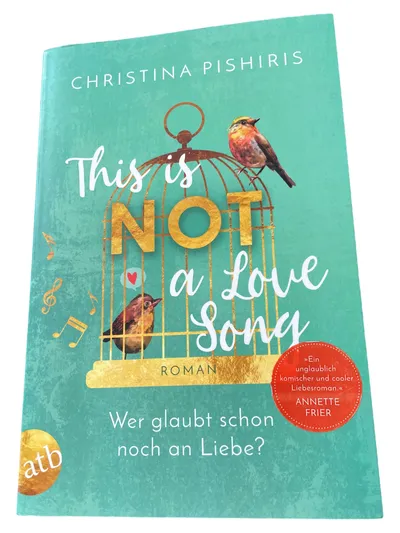 This is NOT a Love Song Christina Pishiris Liebesroman Taschenbuch atb
