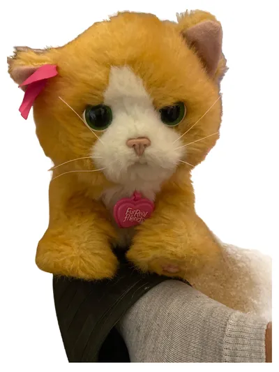 Hasbro FurReal Friends Plüschkatze elektronisch orange interaktiv Katze