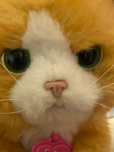 Hasbro FurReal Friends Plüschkatze elektronisch orange interaktiv Katze