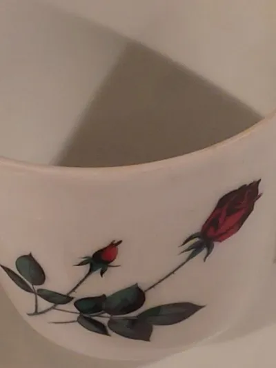 Bavaria Vintage Tasse Untertasse Porzellan Rosen Weiß 7cm 2tlg
