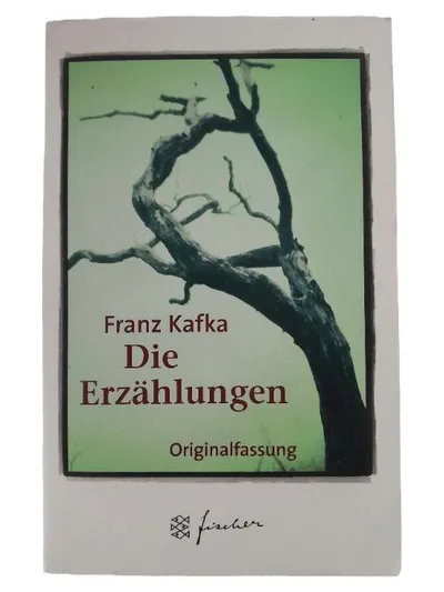 Franz Kafka Die Erzählungen Kurzgeschichten Fischer Taschenbuch Deutsch