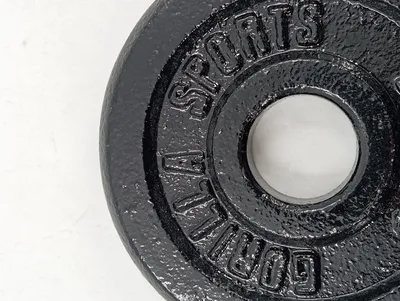 Gorilla Sports Hantelscheibe Gewichtsscheibe 1, 25 kg Schwarz Gusseisen