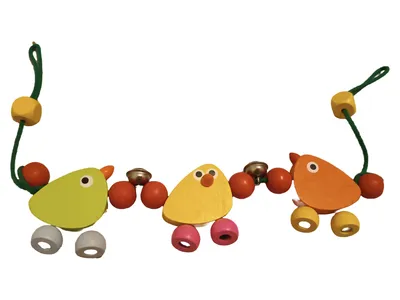 Selecta Kinderwagenkette Holz Vogel Mehrfarbig Spielzeug Kinder