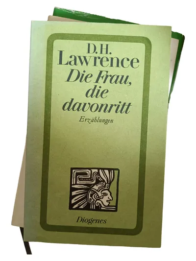 D.H. Lawrence Die Frau, die davonritt Erzählungen Diogenes Taschenbuch