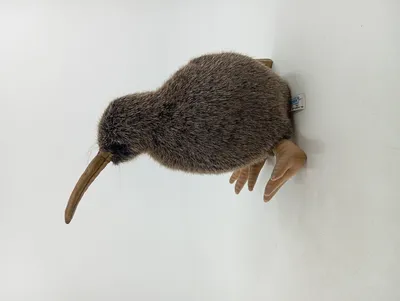 Lufthansa Hansa Kuscheltier Kiwi Vogel Plüschtier Braun 26cm