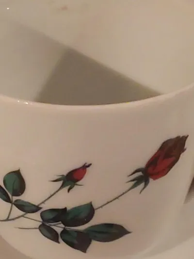 Bavaria Vintage Tasse Untertasse Porzellan Rosen Weiß 7cm 2tlg
