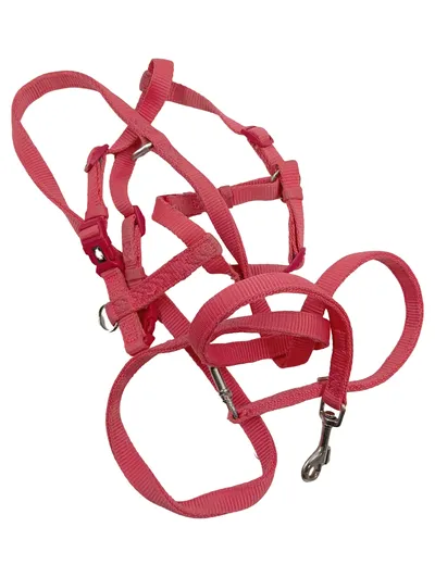TRIXIE Hundegeschirr mit Leine Pink