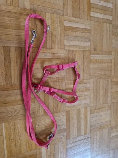 TRIXIE Hundegeschirr mit Leine Pink