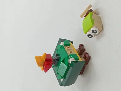 LEGO 40405 Schildkröte mit Vogel Bauset Bausteine Modell Kinder