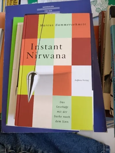 Instant Nirwana Marcus Hammerschmitt Esoterik Geschäft Sinn Suche Buch