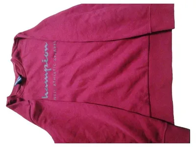 Champion Kinder Sweatshirt Gr. 140 Rot Logo Print Sportlich Freizeit