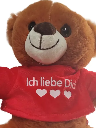 Magomora Teddybär Plüschtier Ich liebe Dich Geschenk Braun 20cm