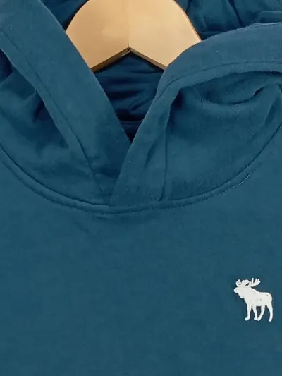 Abercrombie Kids Kapuzenpullover Jungen Gr. 152 (13/14) Blau Hoodie