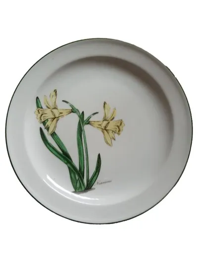 Seltmann Weiden Bavaria Narcissus Wandteller Blumen Porzellan 20cm