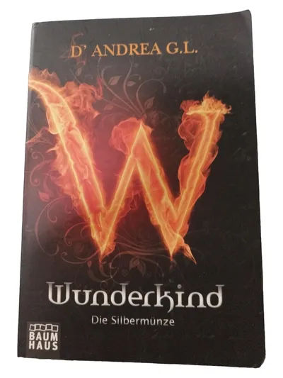 Baumhaus Wunderkind Die Silbermünze D'Andrea G.L. Fantasy Roman