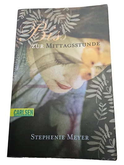 Bis zur Mittagsstunde Stephenie Meyer Vampirroman Jugendbuch Taschenbuch