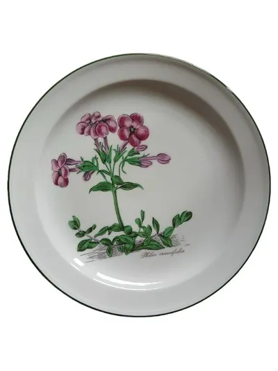 Seltmann Weiden Botanica Phlox crassifolia Wandteller Porzellan 20cm weiß
