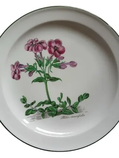 Seltmann Weiden Botanica Phlox crassifolia Wandteller Porzellan 20cm weiß