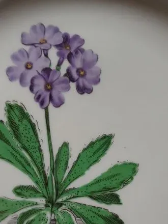 Seltmann Weiden Bavaria Wandteller Primula Porzellan 20cm Blumen Klassisch Weiß