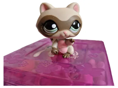 Littlest Pet Shop Waschbär Figur Spielfigur Mehrfarbig 5cm