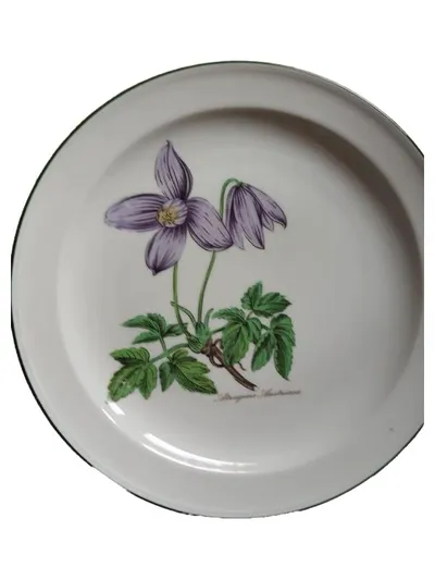 Seltmann Weiden Wandteller Porzellan Blumenmuster Klassisch Weiß 20cm