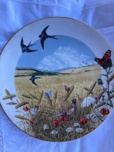 Royal Worcester Wandteller Porzellan Schwalben Feldlandschaft Naturbezogen 24cm