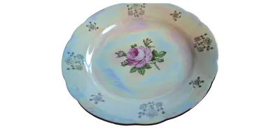 KAHLA Essteller Porzellan Romantisch Blumenmotiv Mehrfarbig 19cm