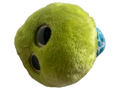 NICI Schildkröte Kuscheltier Plüschtier Grün 16cm Stofftier Charmant