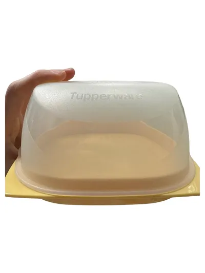Tupperware Butterdose Frischhaltedose Kunststoff Mehrfarbig 16x7cm Praktisch