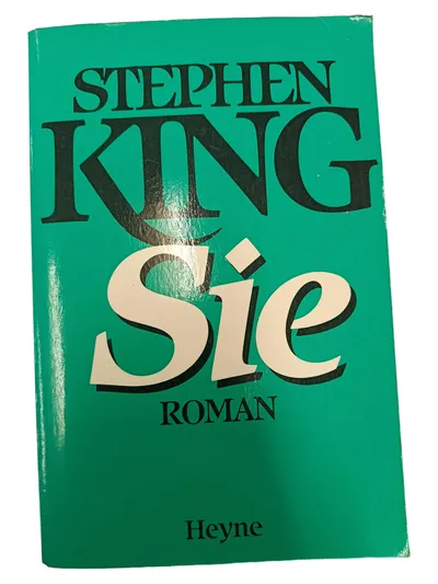 Stephen King Sie Taschenbuch Horrorbuch Paranormal Jugendbuch Deutsch