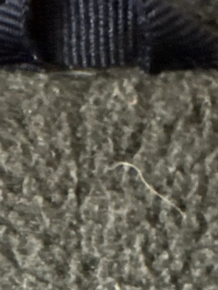 babyGap Kinder Schneeanzug Overall Kapuze Gesteppt Blau Gr. 80 6