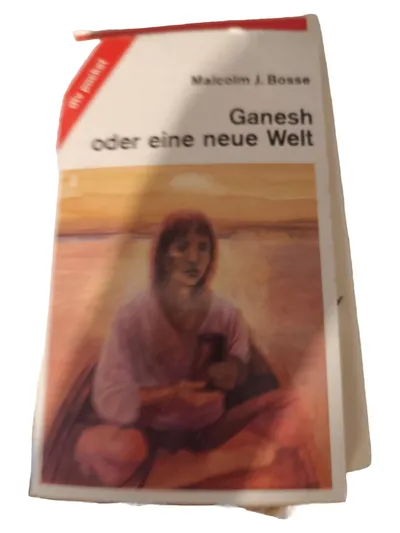 Ganesh oder eine neue Welt Malcolm J. Bosse dtv Abenteuer Roman