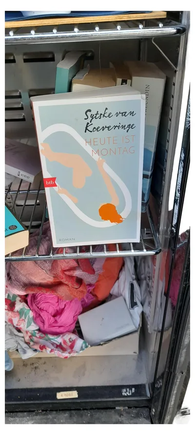 Heute ist Montag Sytske van Koeveringe Roman btb Erstausgabe Taschenbuch